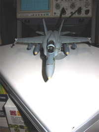 F/A-18 Hornet 2010/01/27 00:12:54