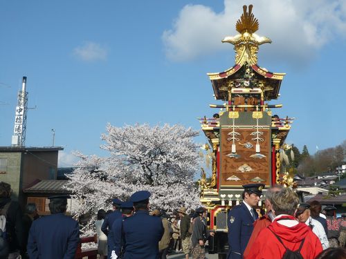 桜の『高山祭』